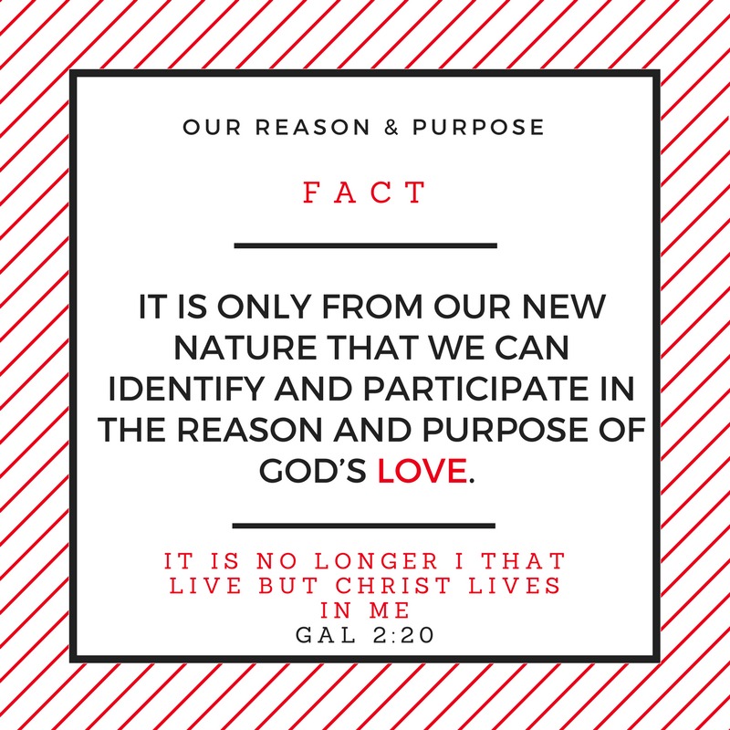 Reason and purpose